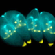Image for article titled The 10 Creepiest Parasites